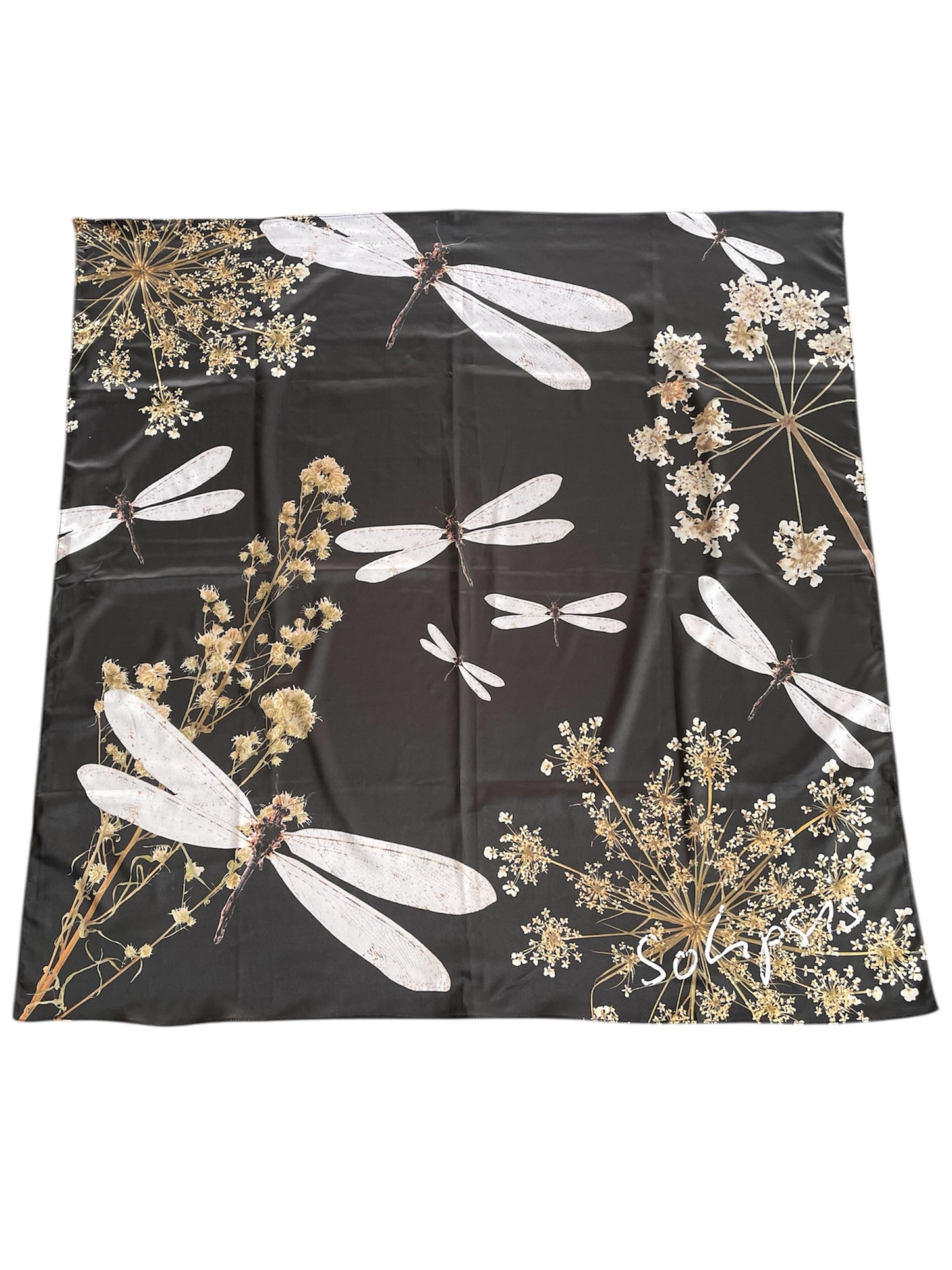 BLACK & WHITE DRAGONFLY