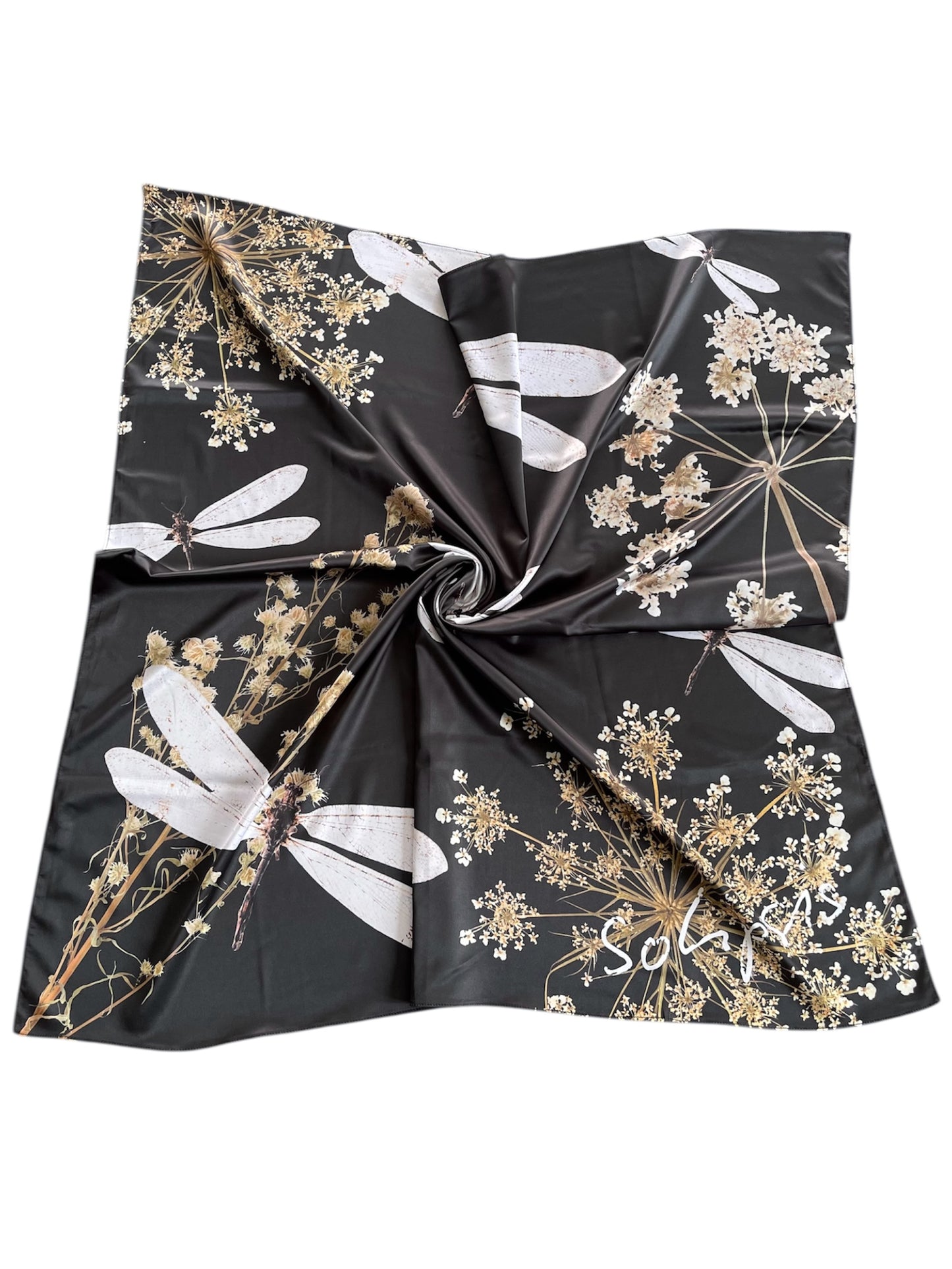 BLACK & WHITE DRAGONFLY